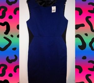 *NWT* Navy blue && black TAHARI penny dress sz10